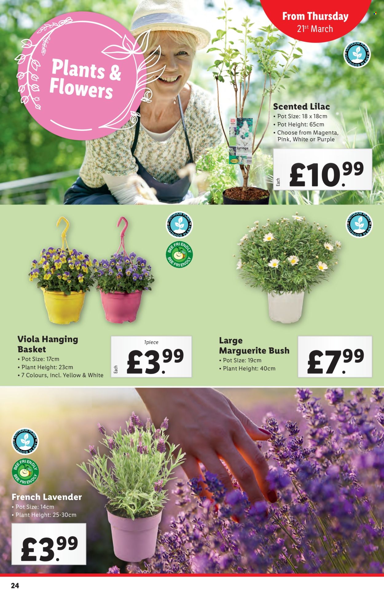 Lidl offer - 20/03/2024 - 20/03/2024. Page 24
