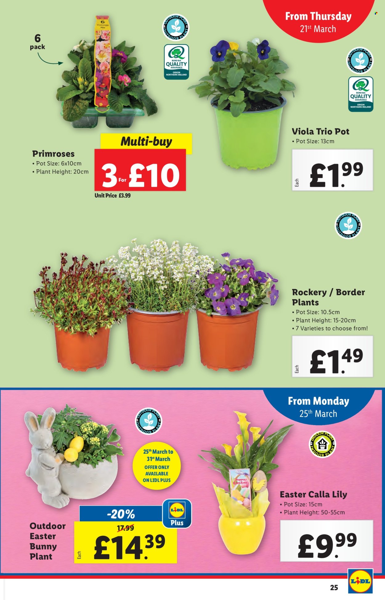 Lidl offer - 20/03/2024 - 20/03/2024. Page 25