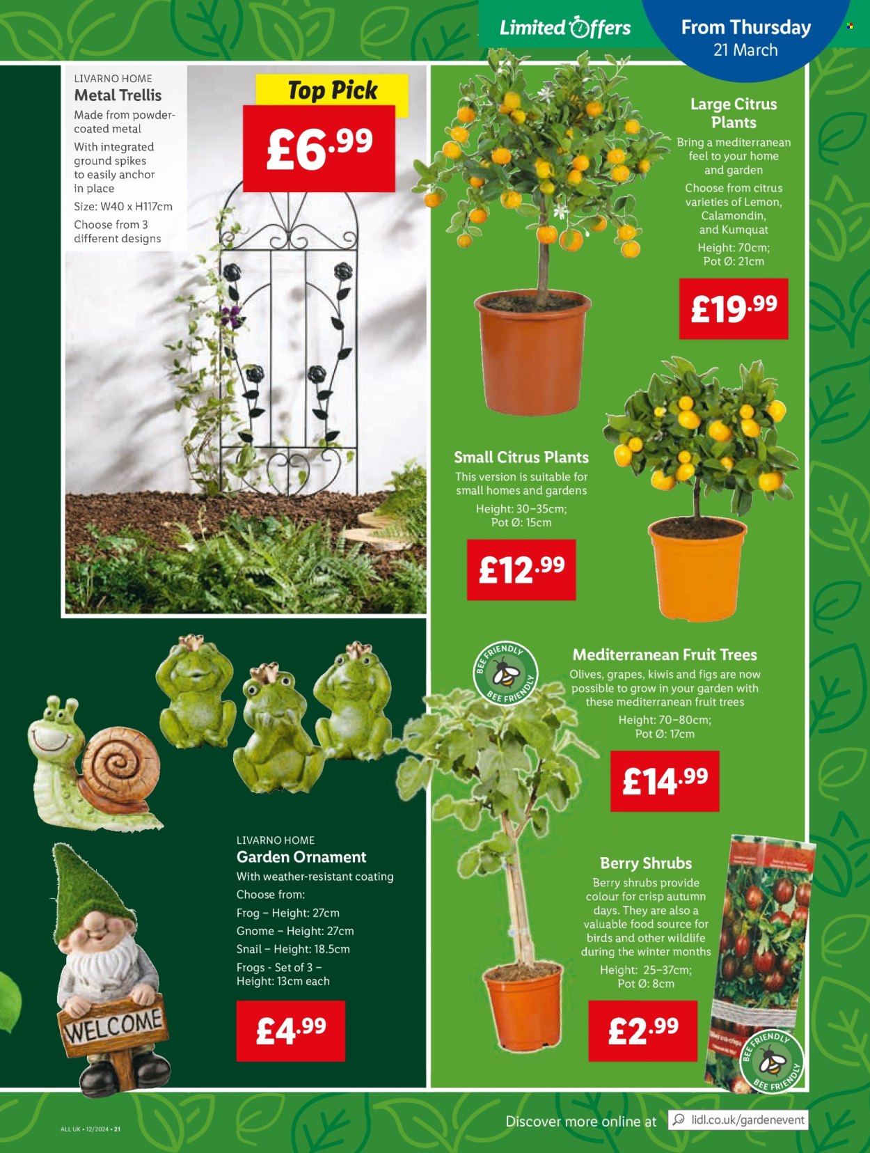 Lidl offer - 21/03/2024 - 27/03/2024. Page 31