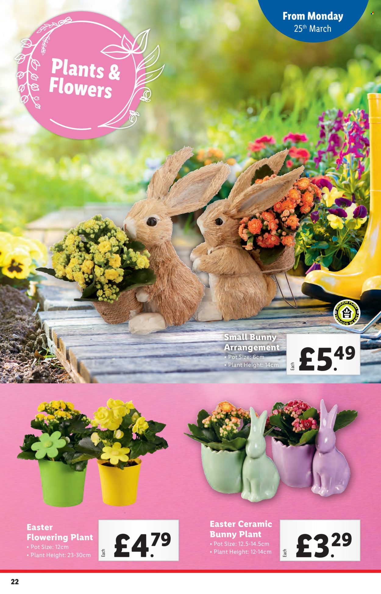 Lidl offer - 21/03/2024 - 27/03/2024. Page 22