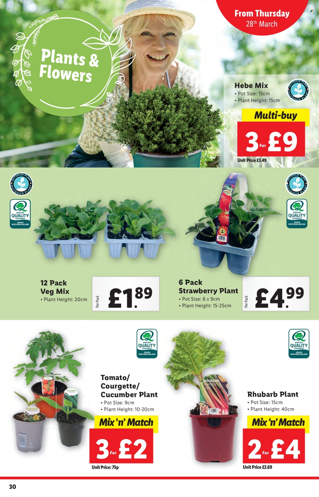 Lidl offer - 22/03/2024 - 22/03/2024. Page 30