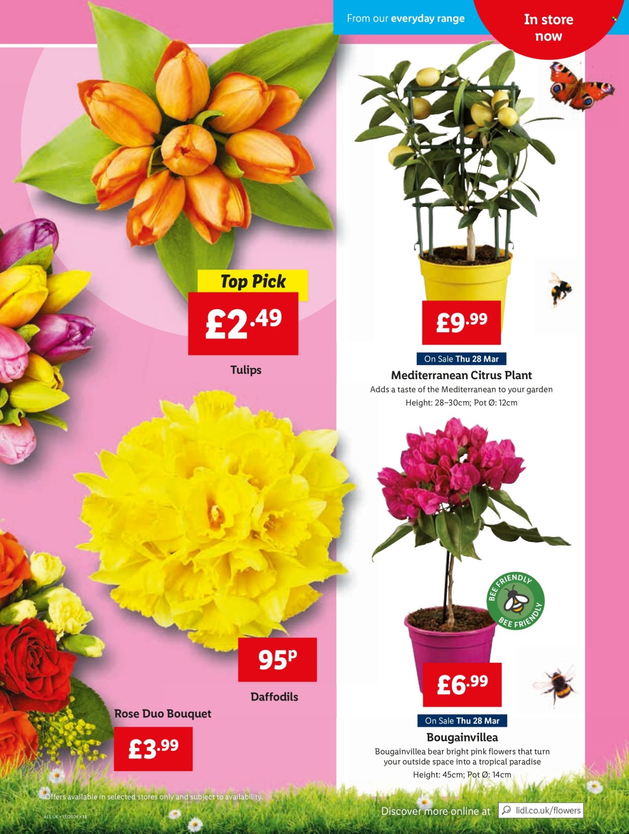 Lidl offer - 28/03/2024 - 03/04/2024. Page 23