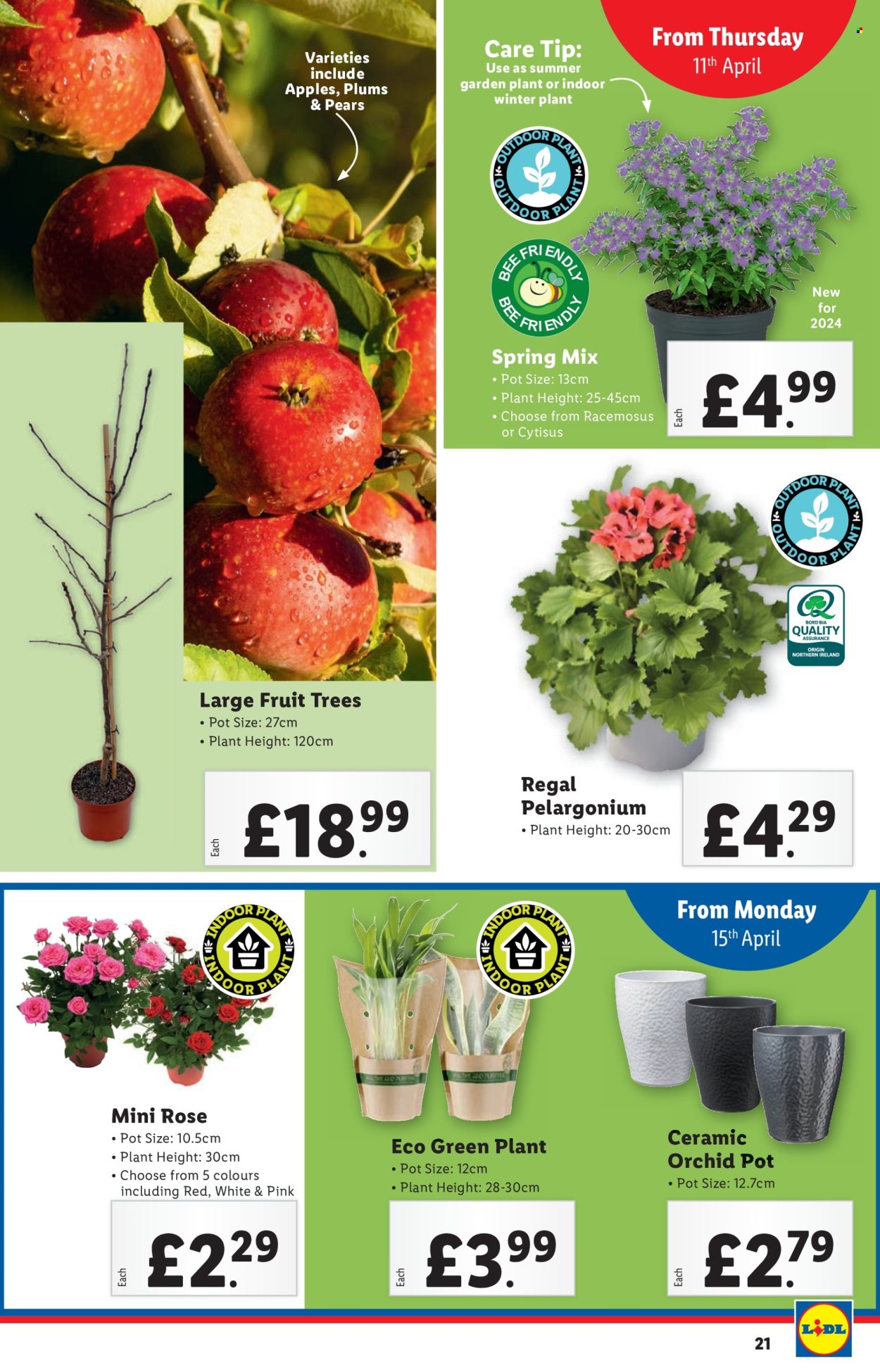 Lidl offer - 11/04/2024 - 17/04/2024. Page 21