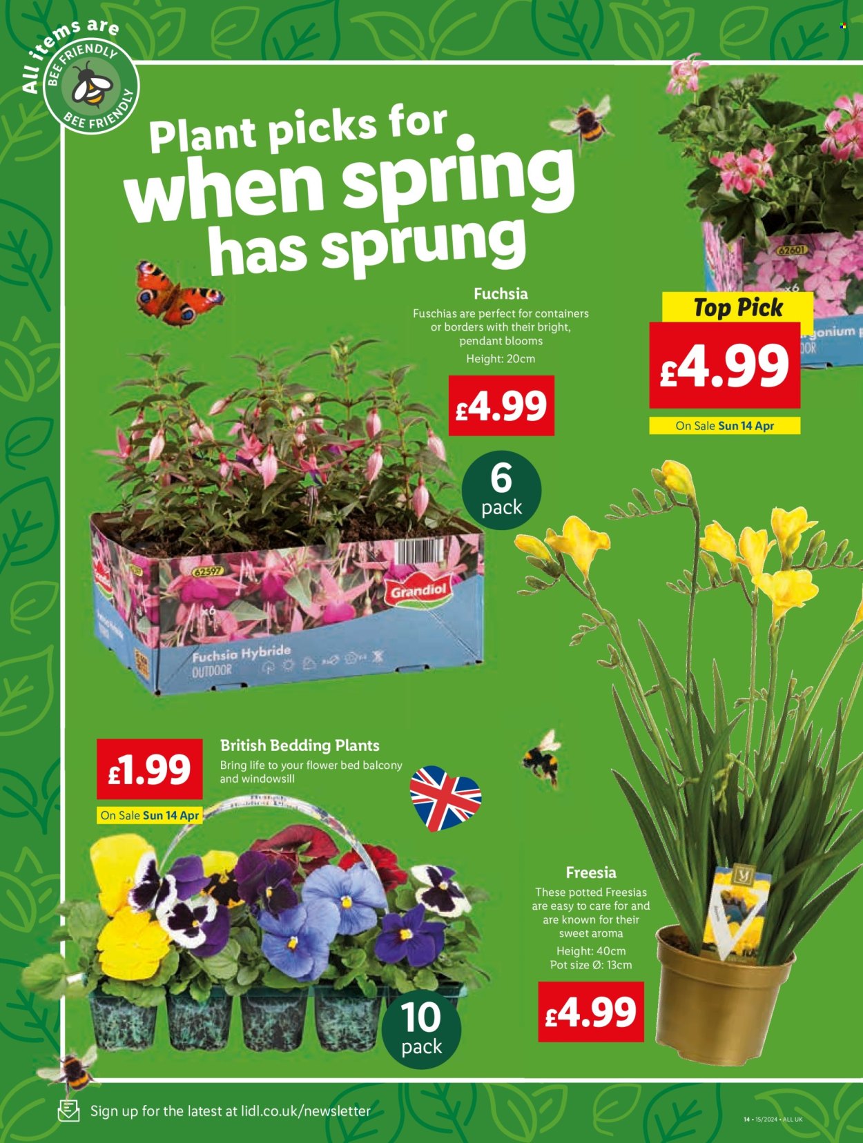 Lidl offer - 11/04/2024 - 17/04/2024. Page 14