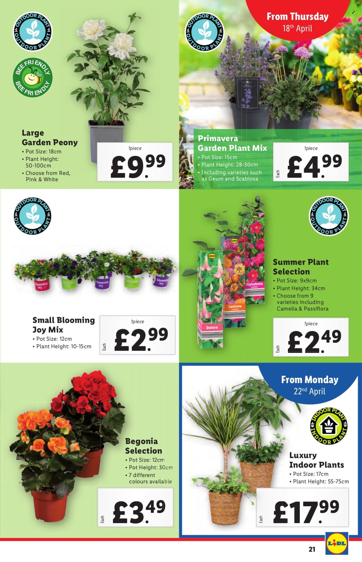 Lidl offer - 18/04/2024 - 24/04/2024. Page 21