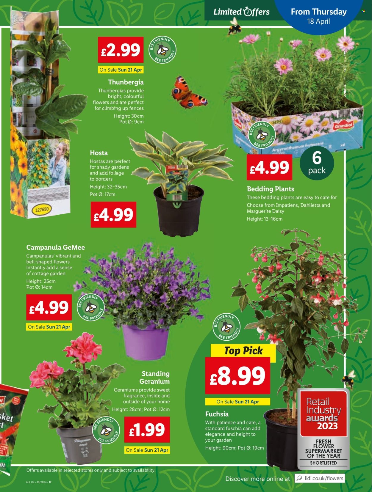 Lidl offer - 18/04/2024 - 24/04/2024. Page 19