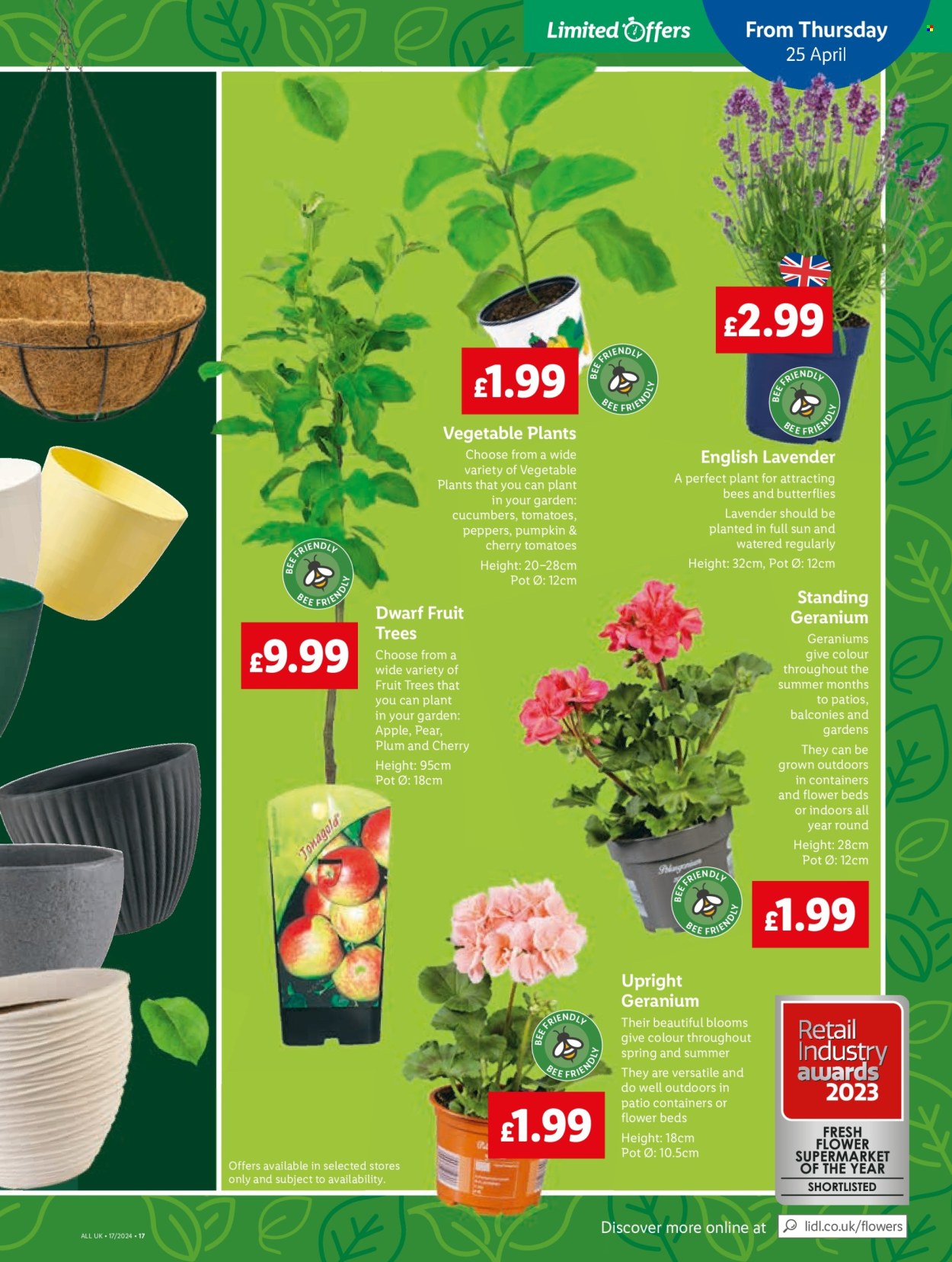Lidl offer - 23/04/2024 - 23/04/2024. Page 19
