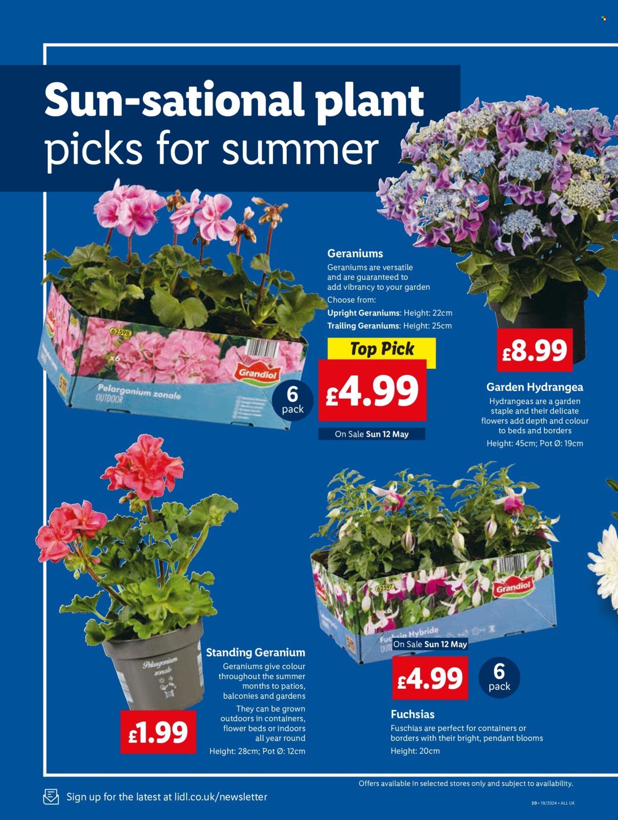 Lidl offer - 03/05/2024 - 03/05/2024. Page 20