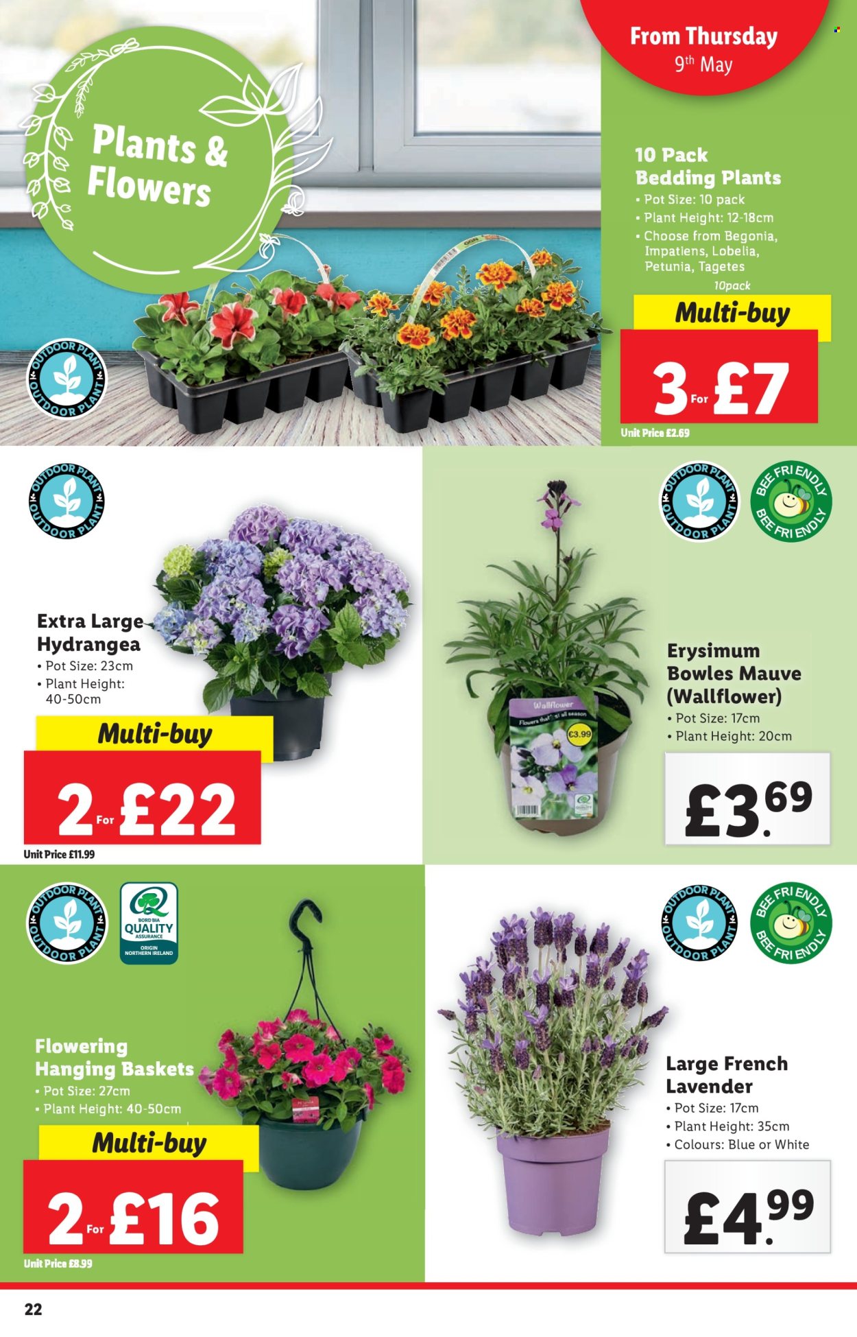 Lidl offer - 09/05/2024 - 15/05/2024. Page 22