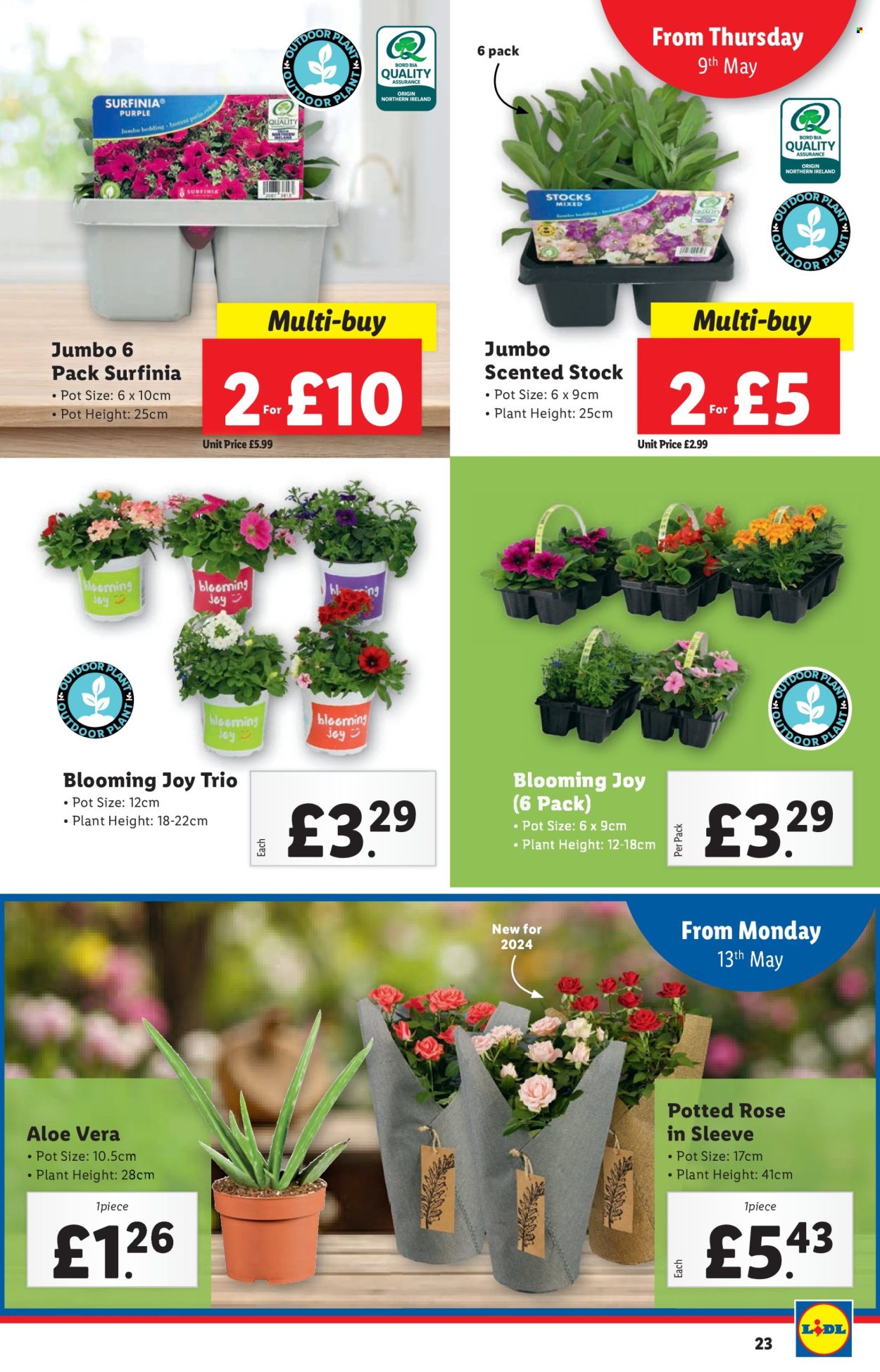 Lidl offer - 09/05/2024 - 15/05/2024. Page 23