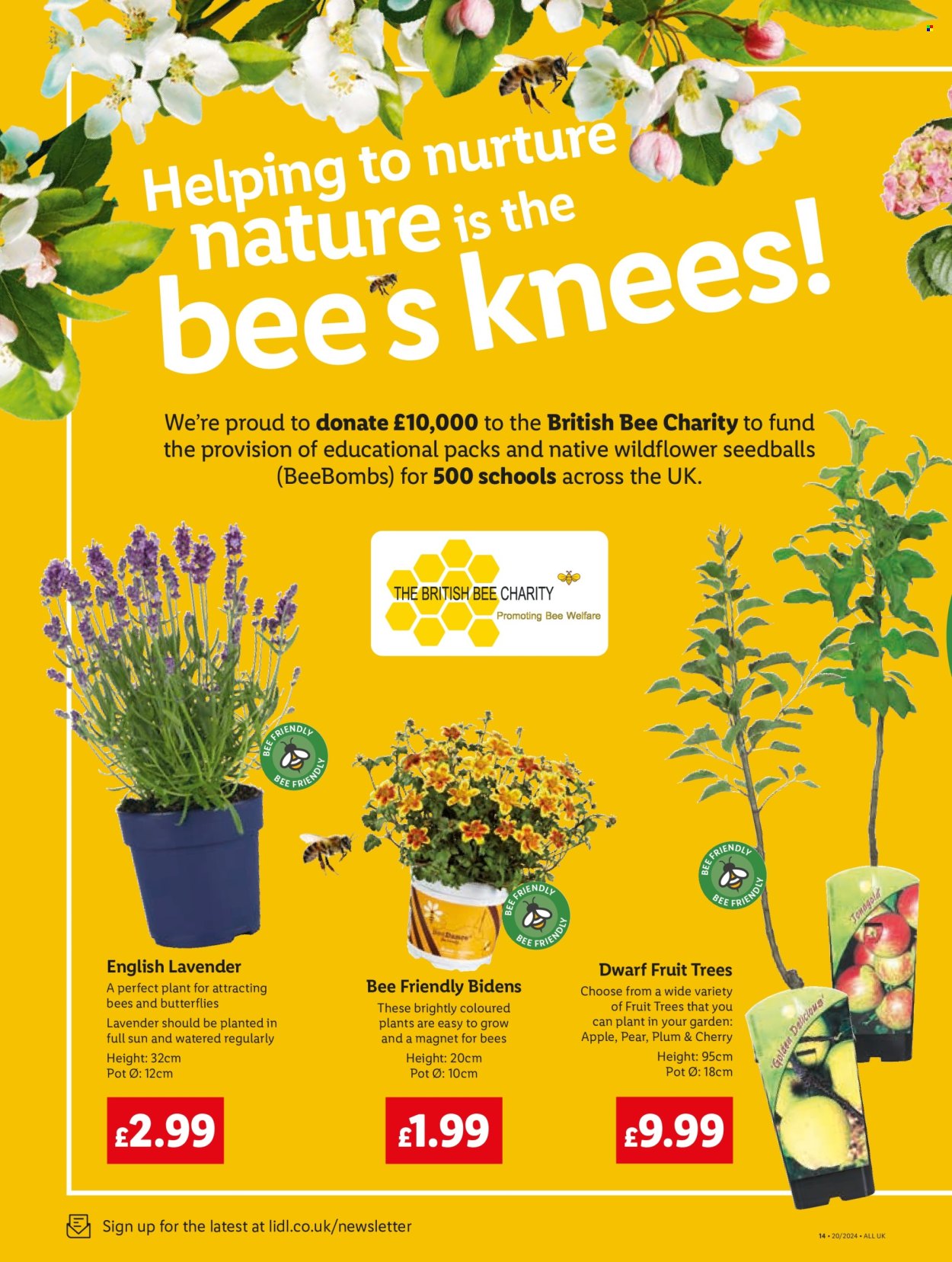 Lidl offer - 16/05/2024 - 22/05/2024. Page 16
