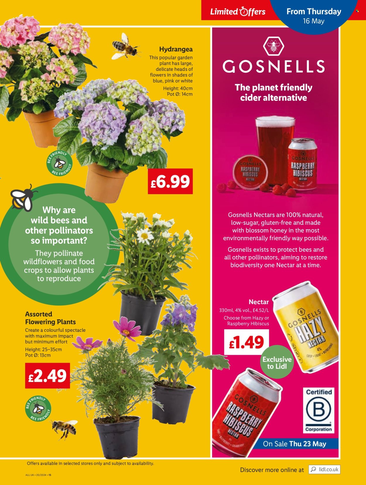 Lidl offer - 16/05/2024 - 22/05/2024. Page 17