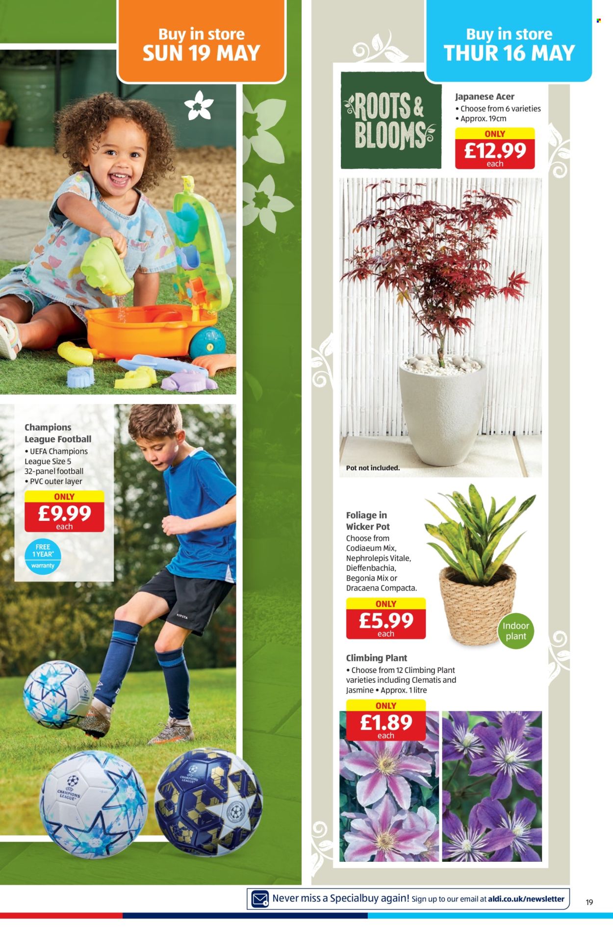 Aldi offer - 16/05/2024 - 19/05/2024. Page 19