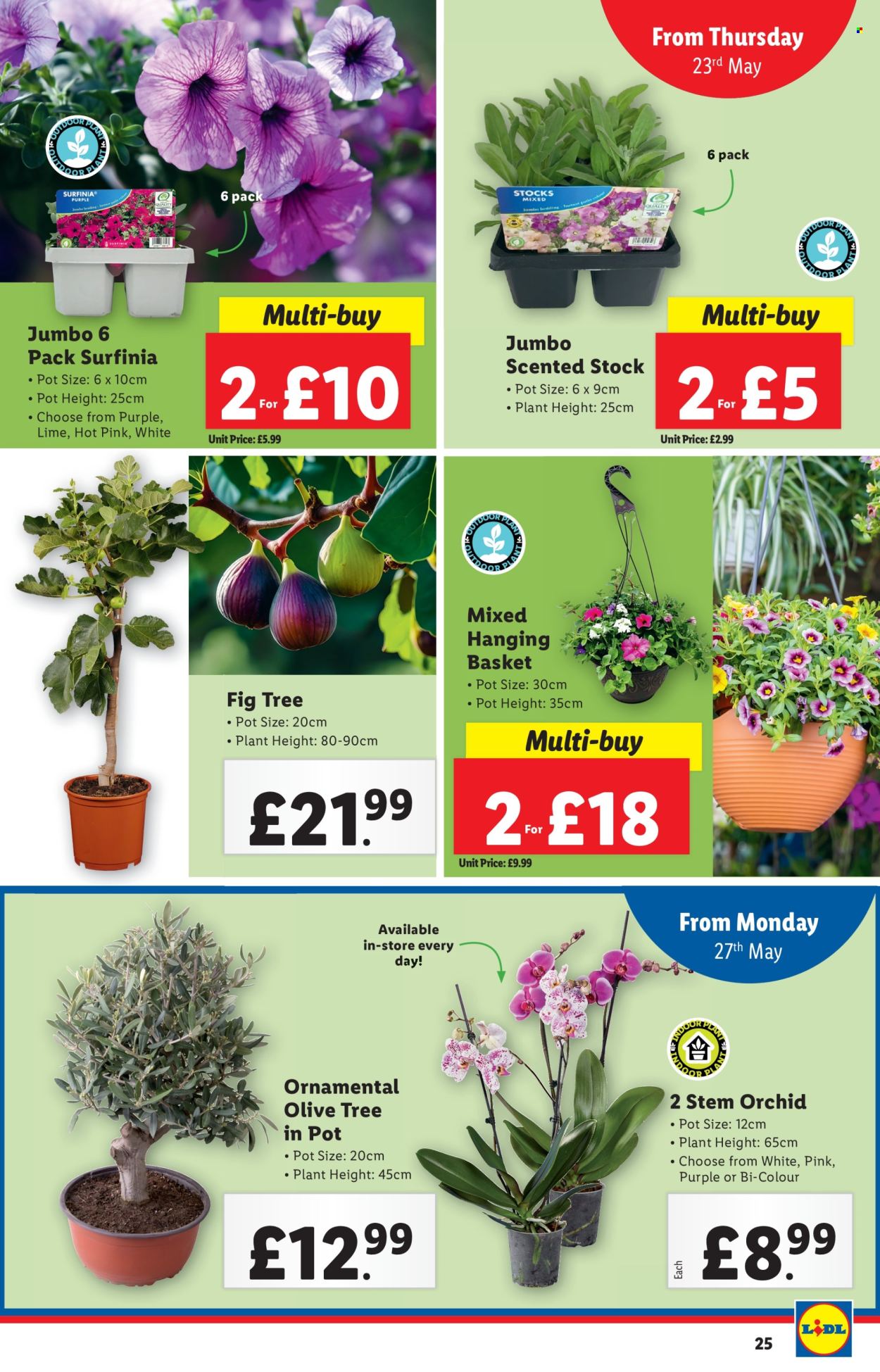 Lidl offer - 23/05/2024 - 29/05/2024. Page 25