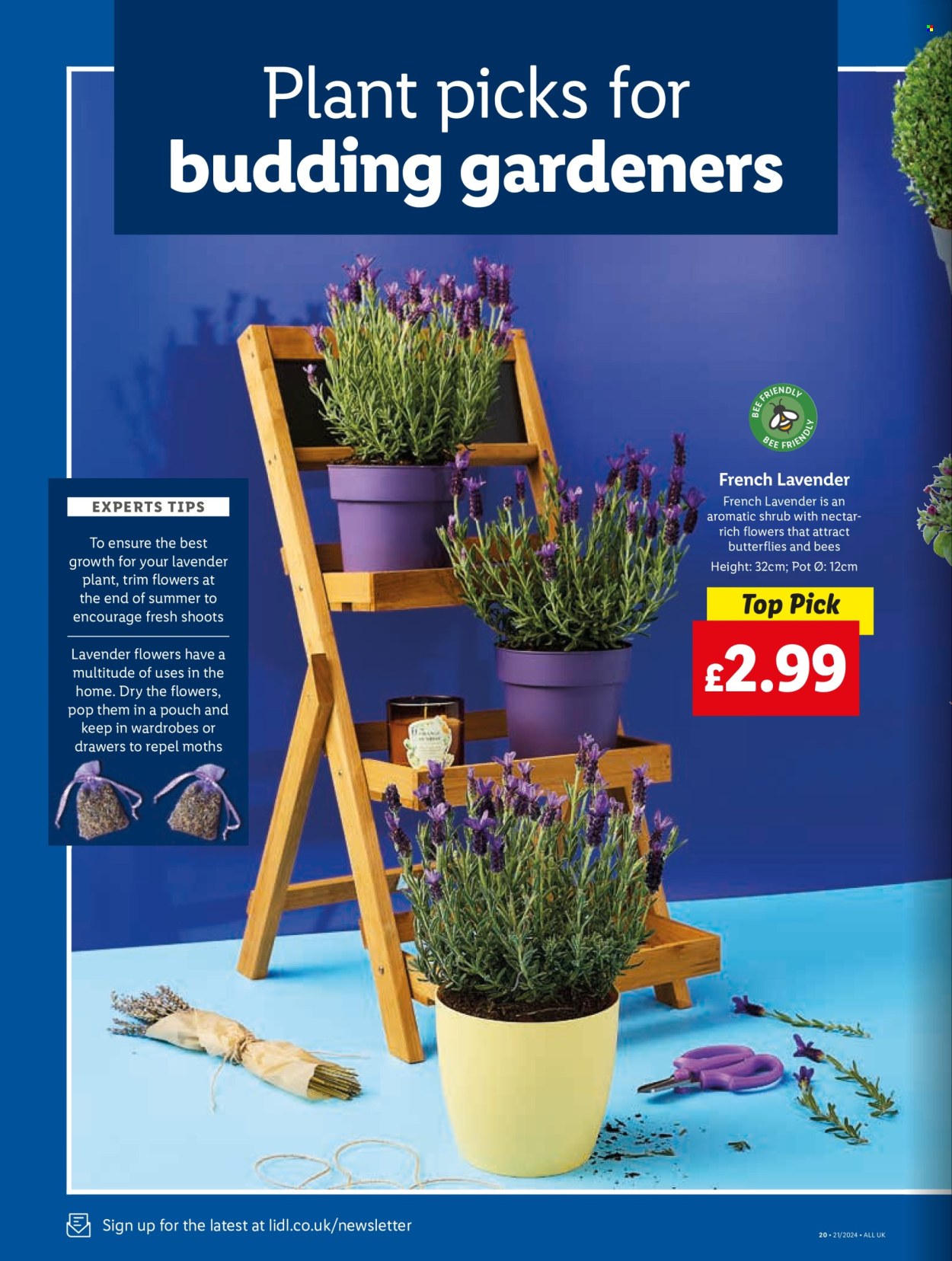 Lidl offer - 16/05/2024 - 16/05/2024. Page 26