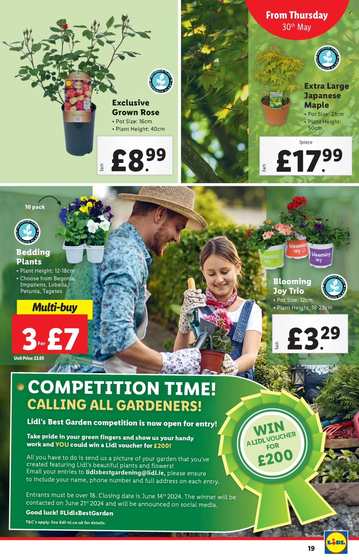 Lidl offer - 30/05/2024 - 05/06/2024. Page 19
