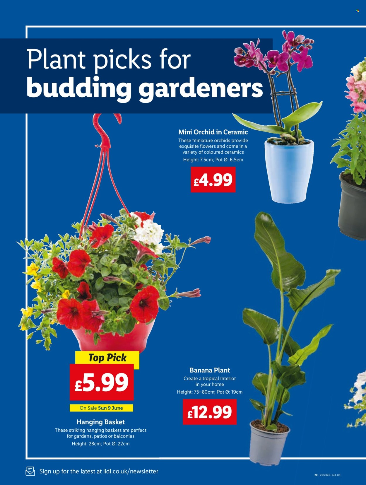Lidl offer - 06/06/2024 - 12/06/2024. Page 26