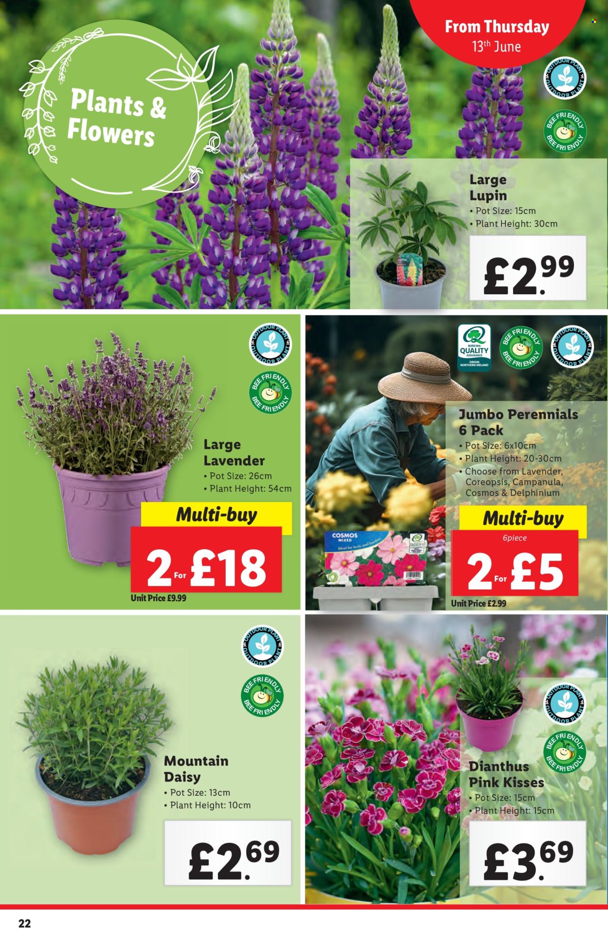 Lidl offer - 13/06/2024 - 19/06/2024. Page 22