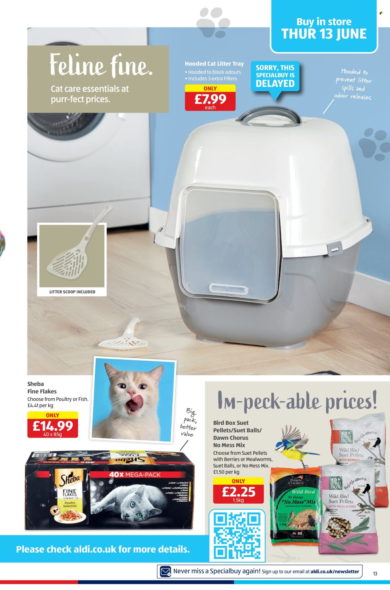 Aldi offer - 13/06/2024 - 16/06/2024. Page 13