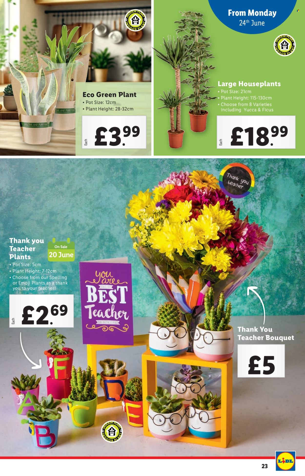 Lidl offer - 20/06/2024 - 26/06/2024. Page 23