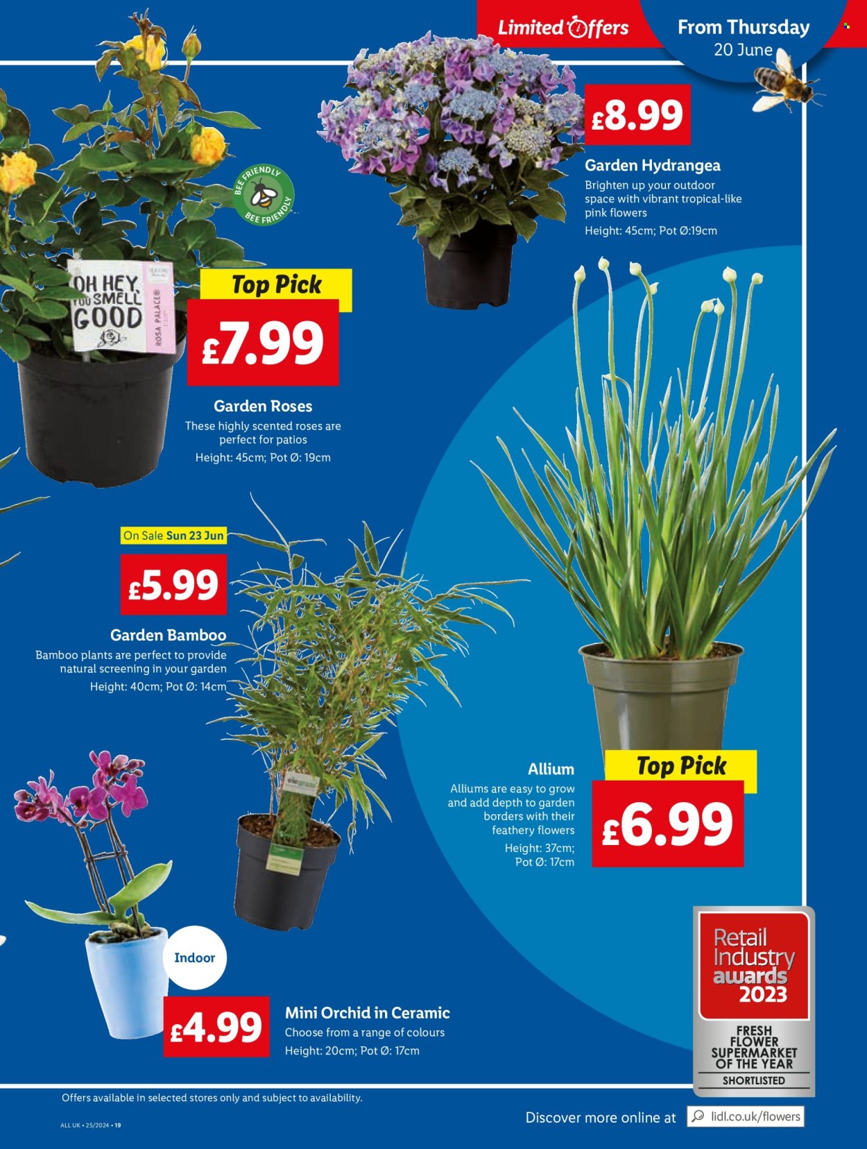 Lidl offer - 21/06/2024 - 21/06/2024. Page 23