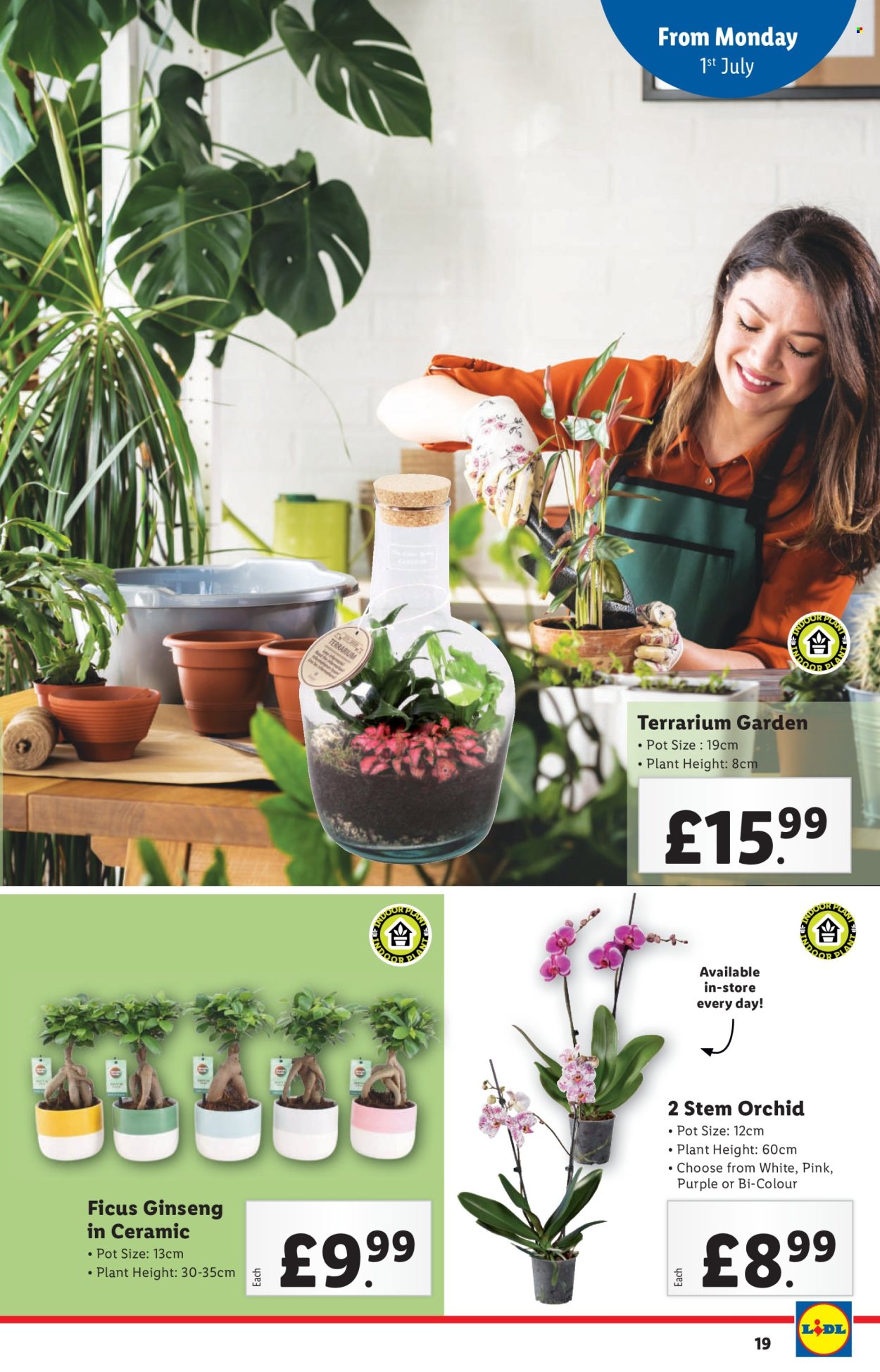 Lidl offer - 27/06/2024 - 03/07/2024. Page 19