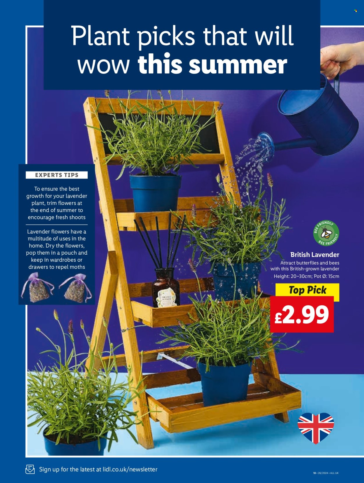 Lidl offer - 21/06/2024 - 21/06/2024. Page 22