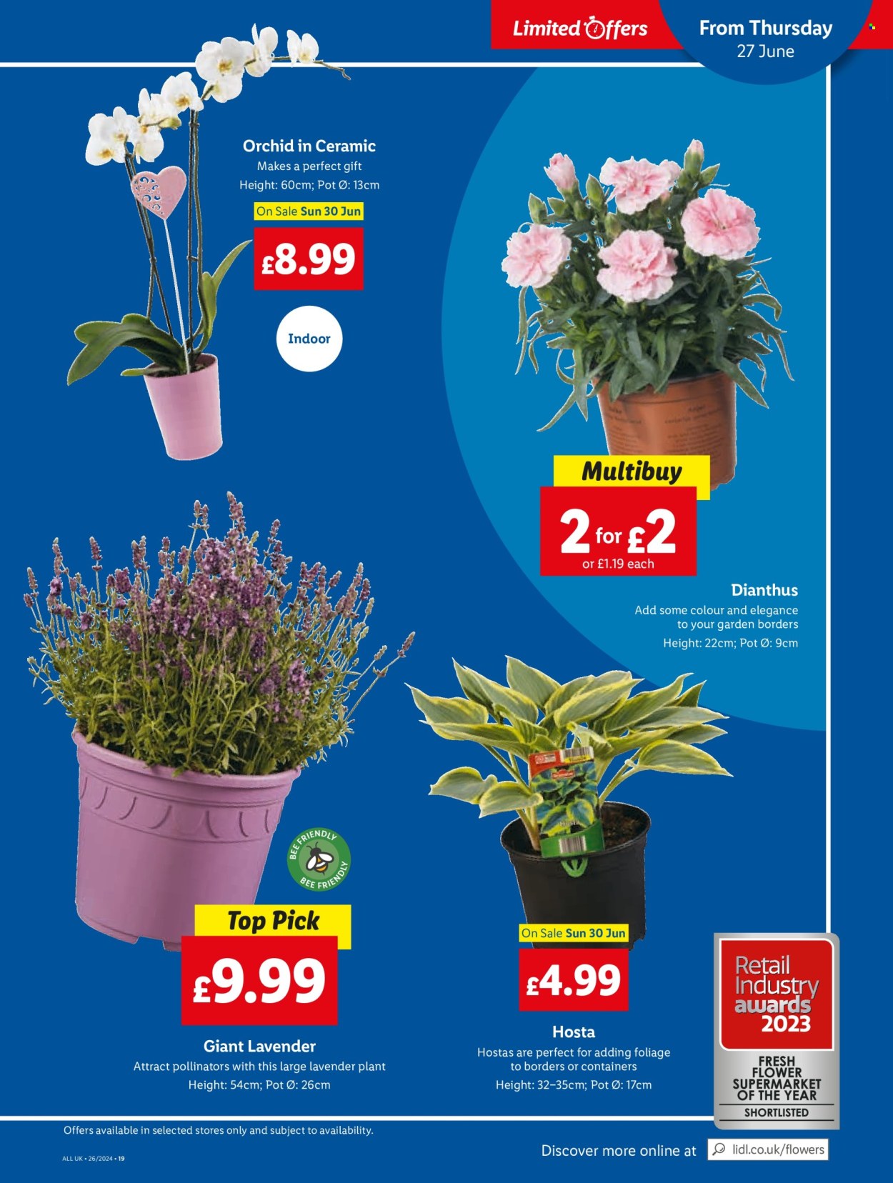 Lidl offer - 21/06/2024 - 21/06/2024. Page 23