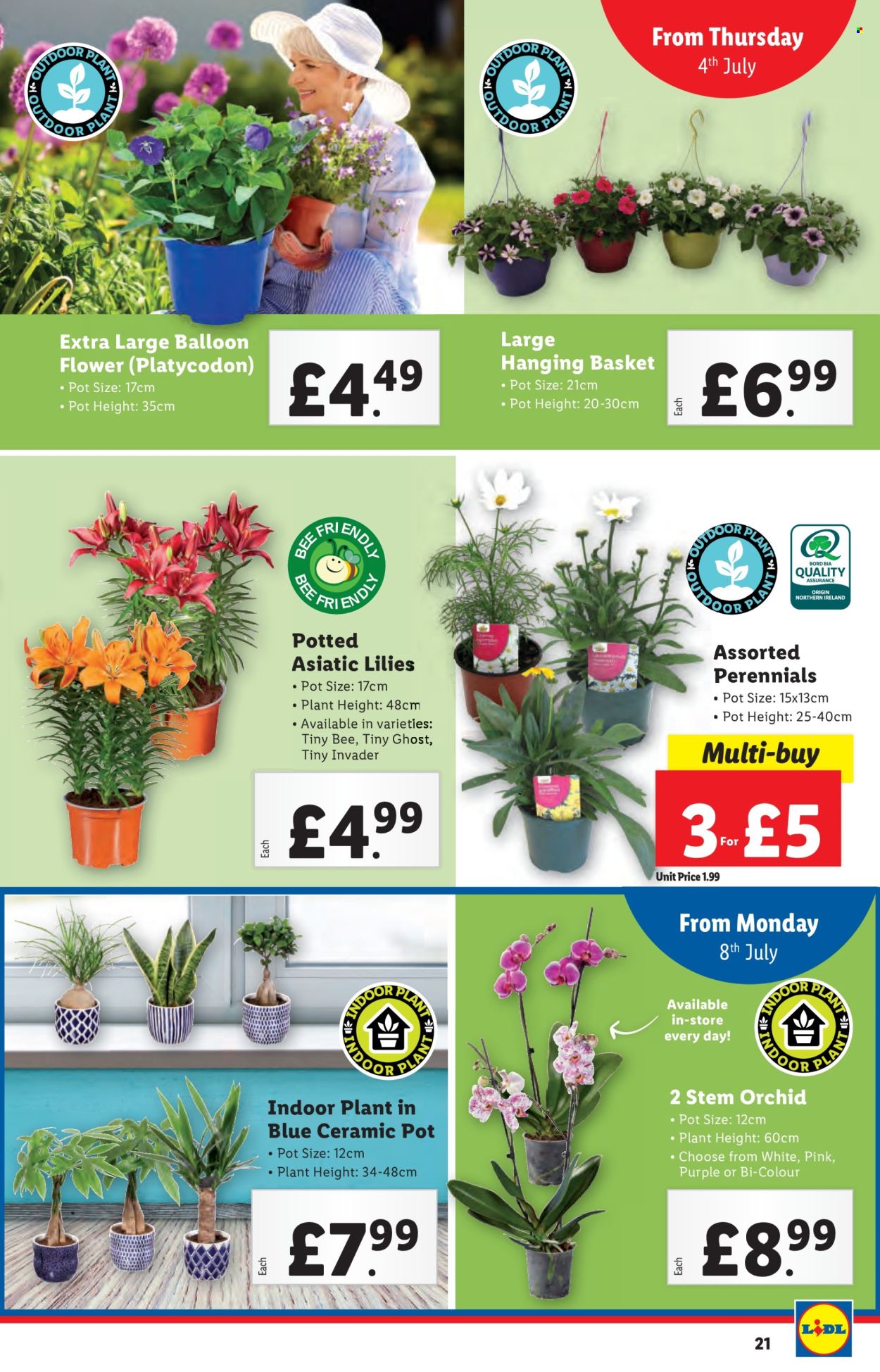 Lidl offer - 04/07/2024 - 10/07/2024. Page 21