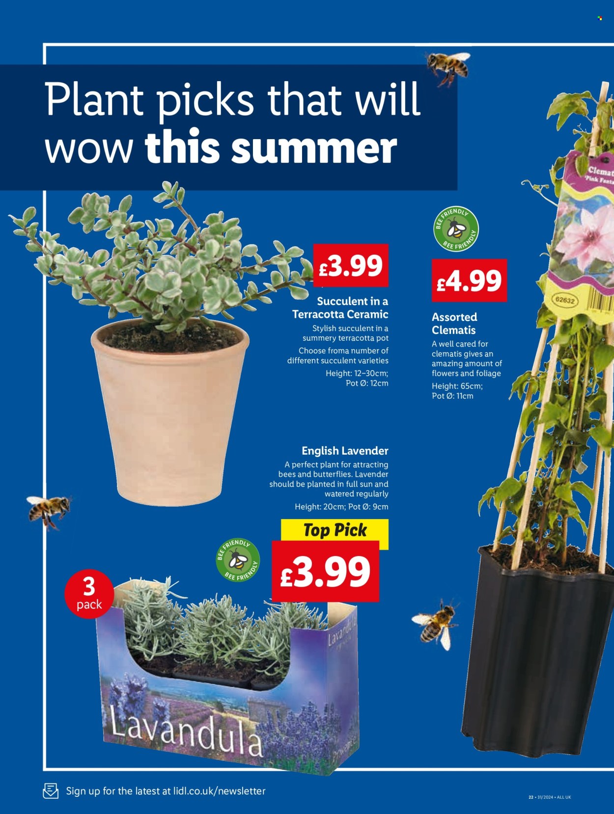 Lidl offer - 01/08/2024 - 07/08/2024. Page 24