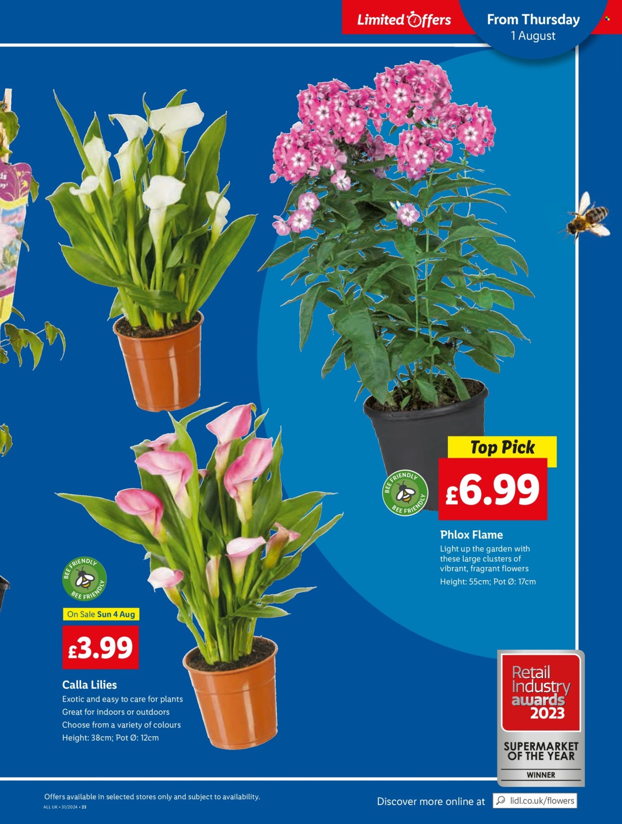 Lidl offer - 01/08/2024 - 07/08/2024. Page 25