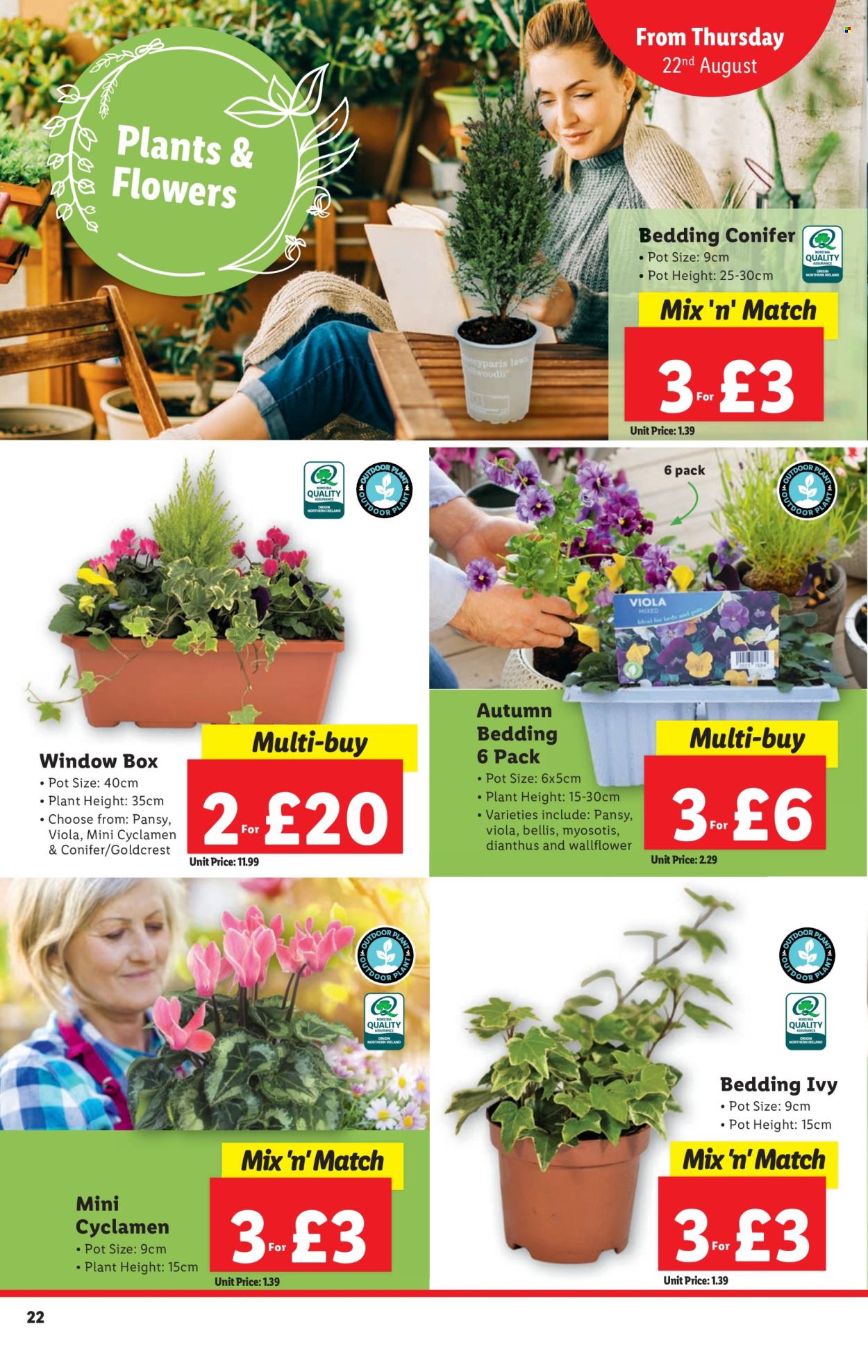 Lidl offer - 22/08/2024 - 28/08/2024. Page 22