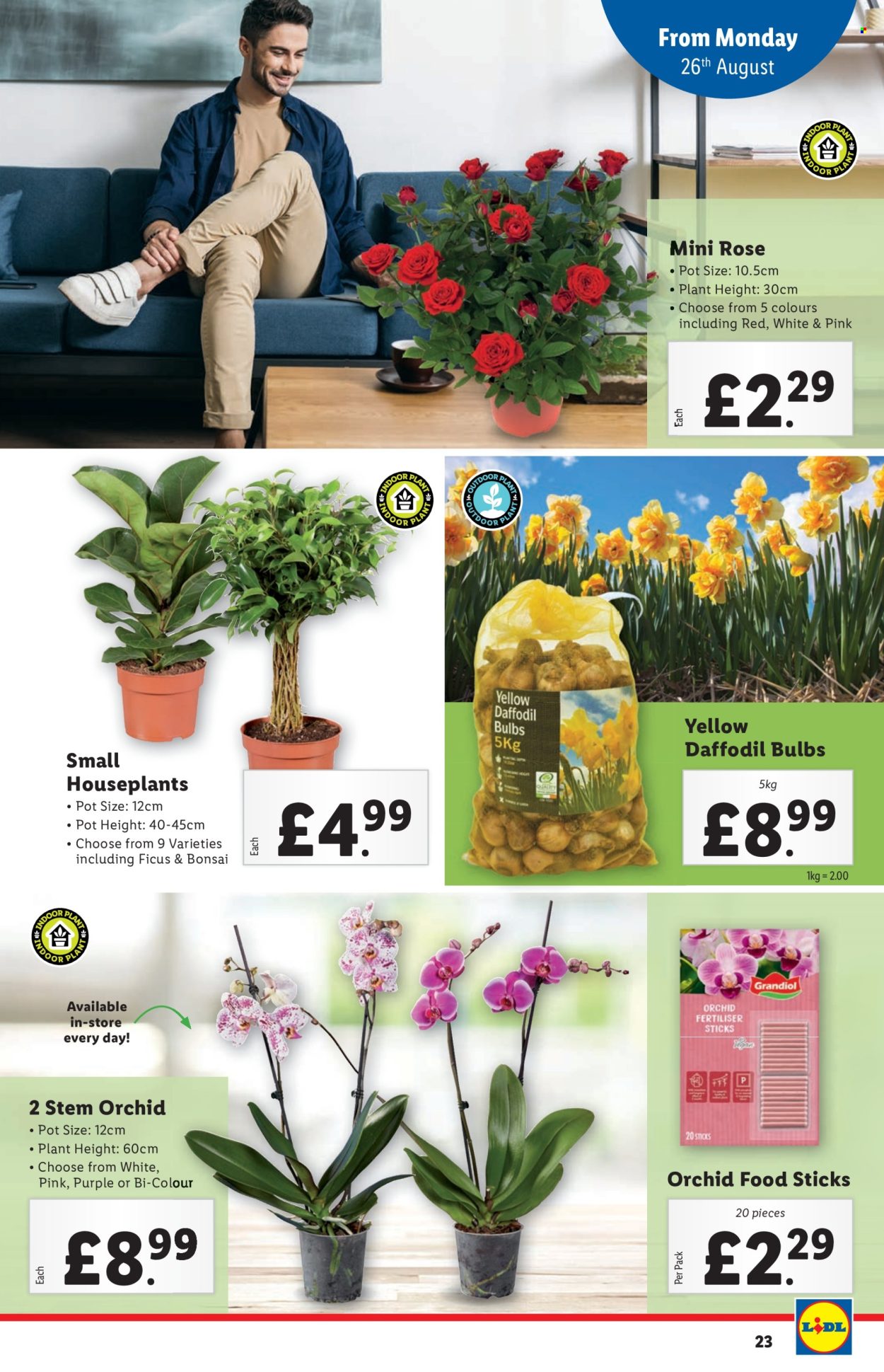 Lidl offer - 22/08/2024 - 28/08/2024. Page 23