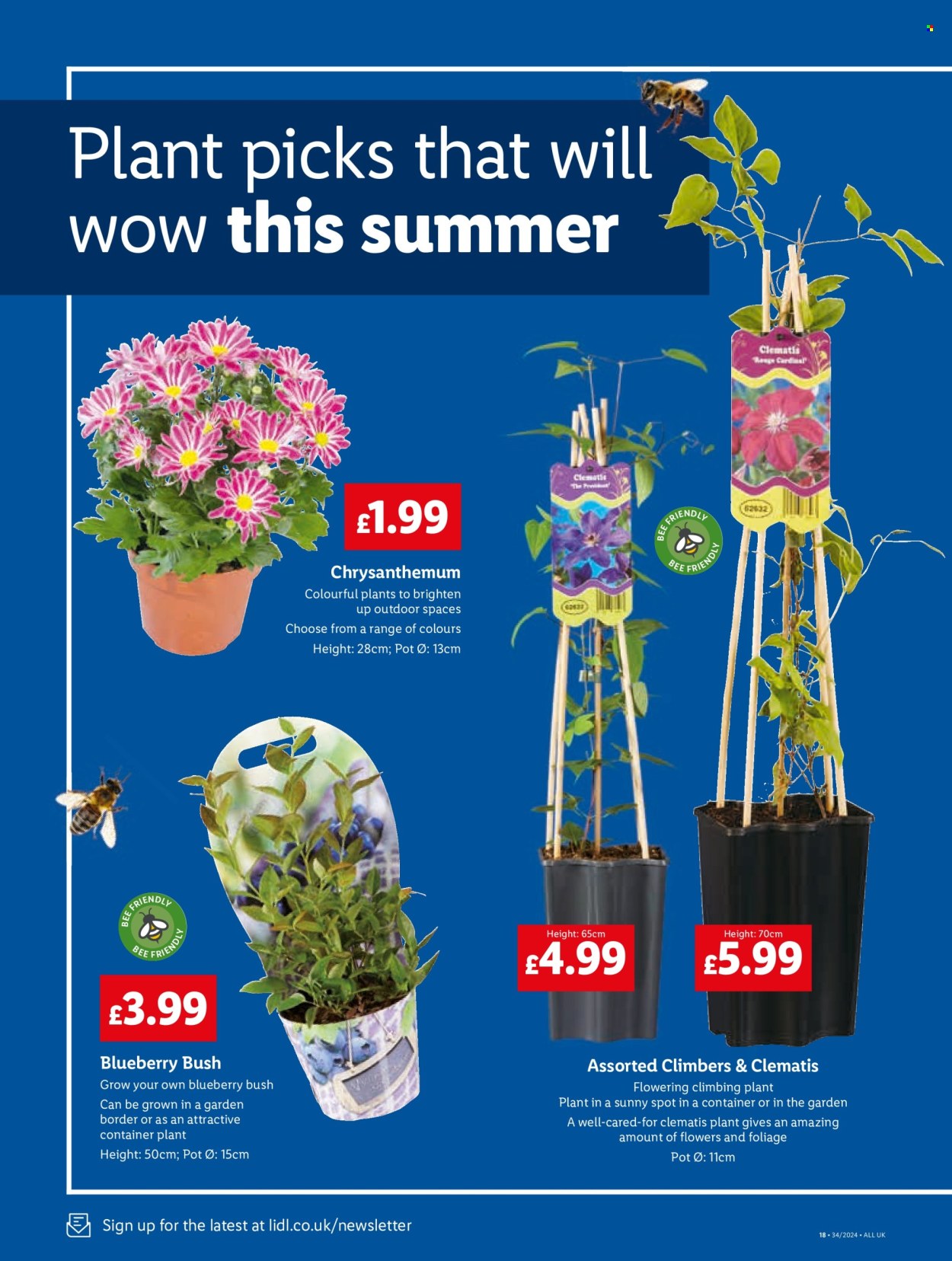 Lidl offer - 22/08/2024 - 23/08/2024. Page 22