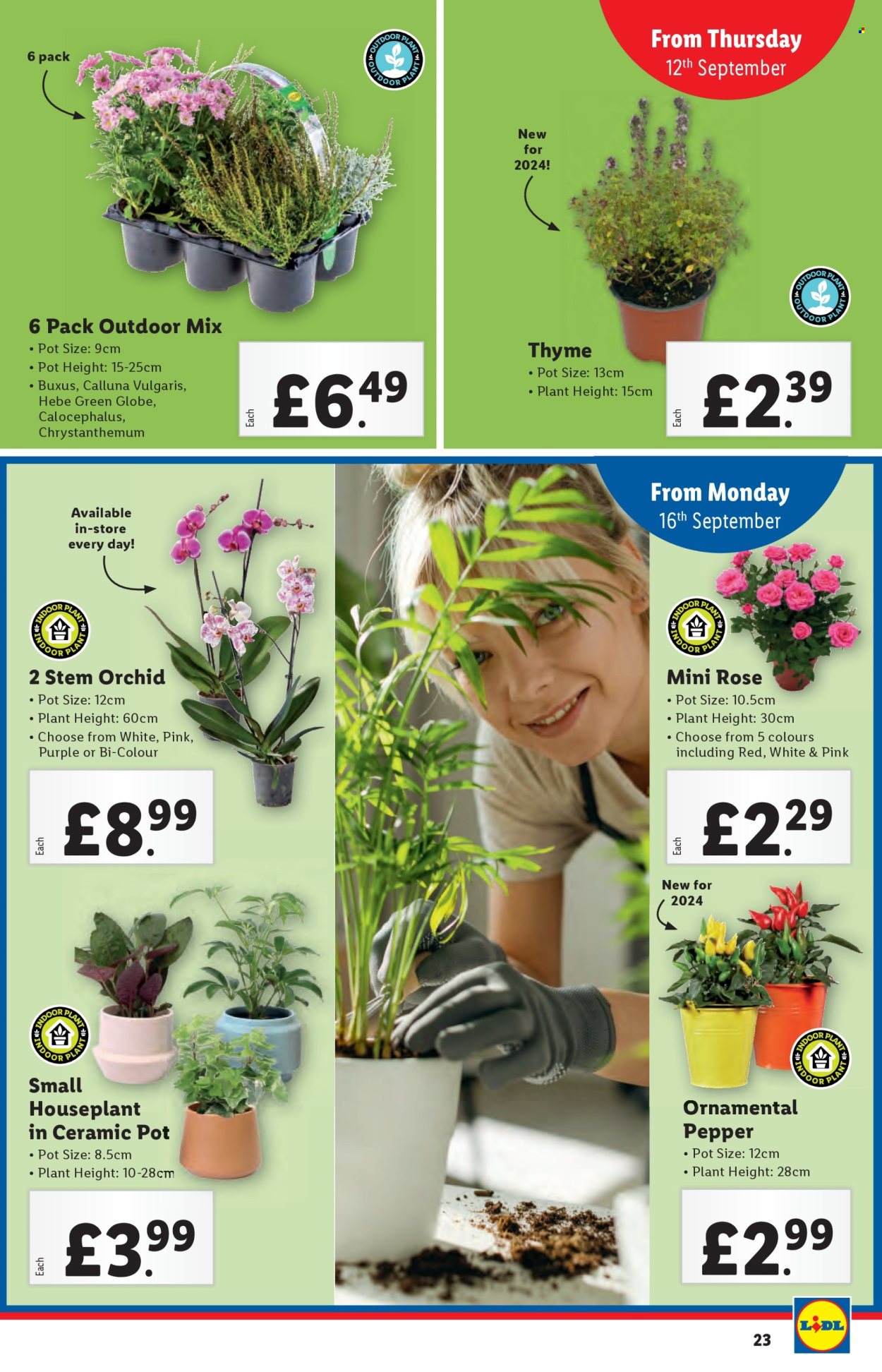 Lidl offer - 12/09/2024 - 18/09/2024. Page 23