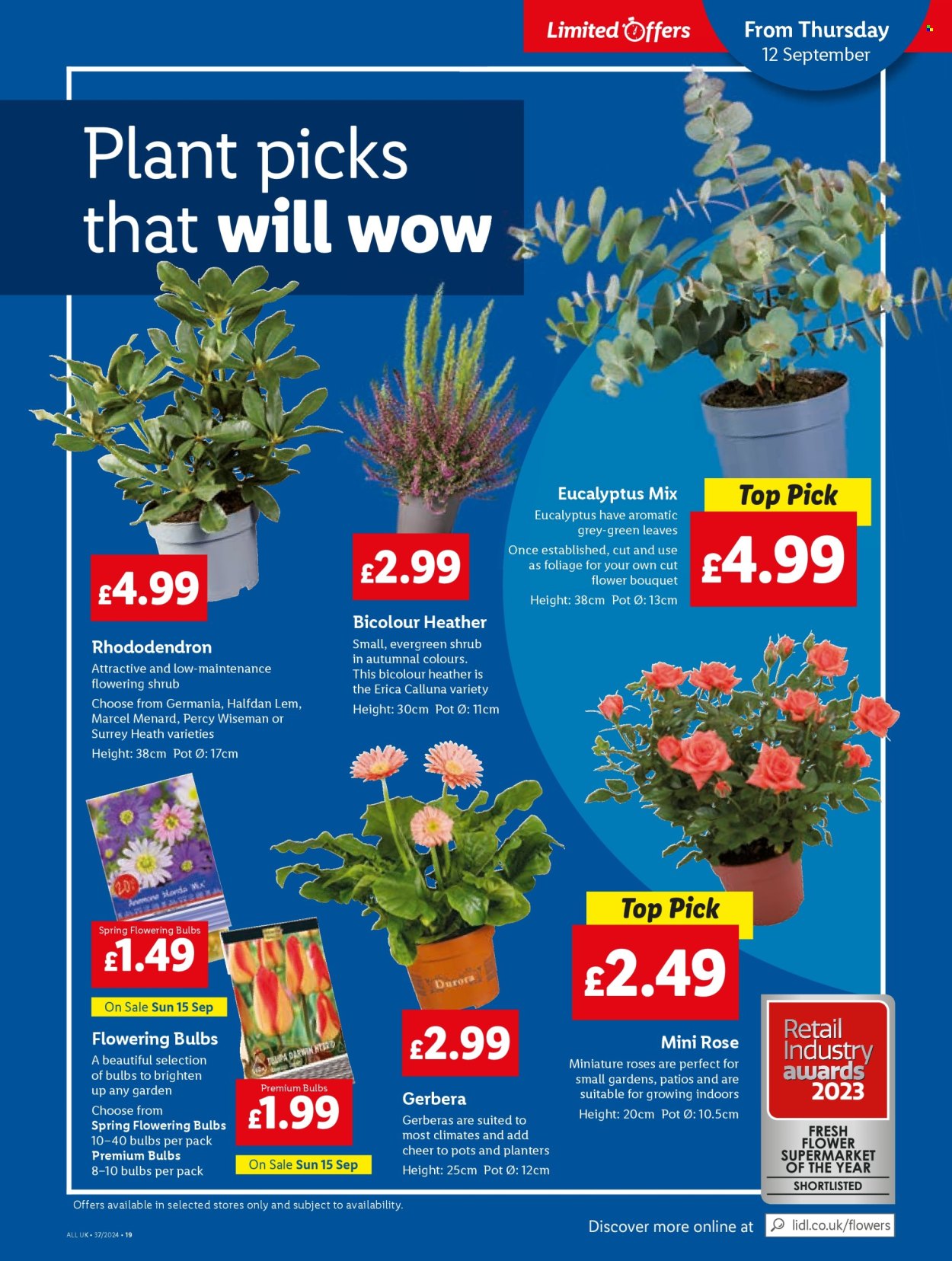 Lidl offer - 12/09/2024 - 18/09/2024. Page 23