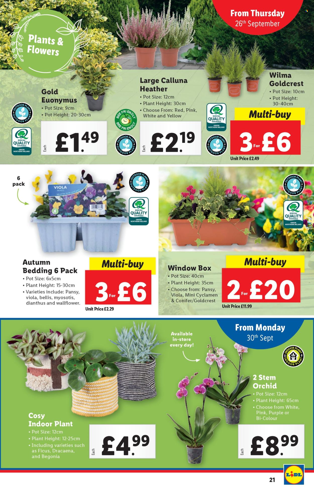 Lidl offer - 26/09/2024 - 02/10/2024. Page 21