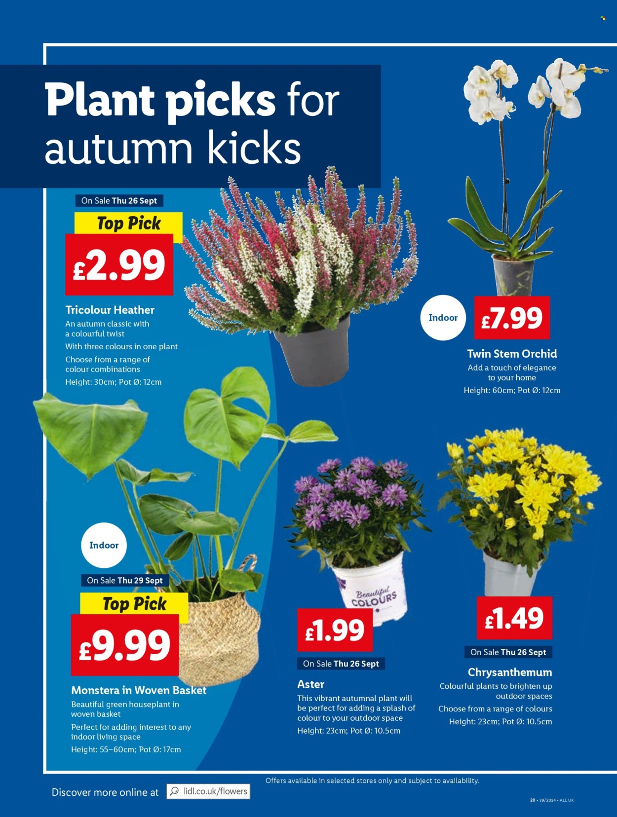 Lidl offer - 26/09/2024 - 02/10/2024. Page 18