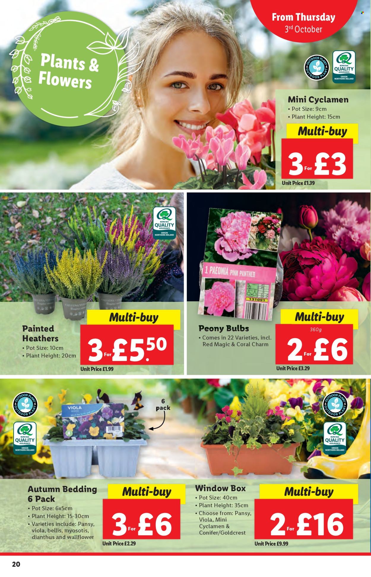 Lidl offer - 03/10/2024 - 09/10/2024. Page 20