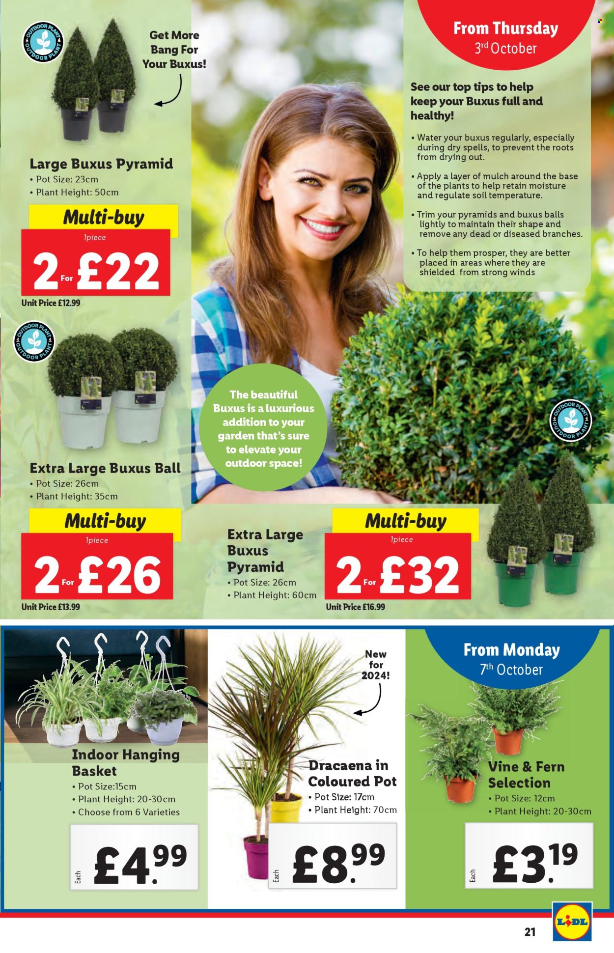Lidl offer - 03/10/2024 - 09/10/2024. Page 21