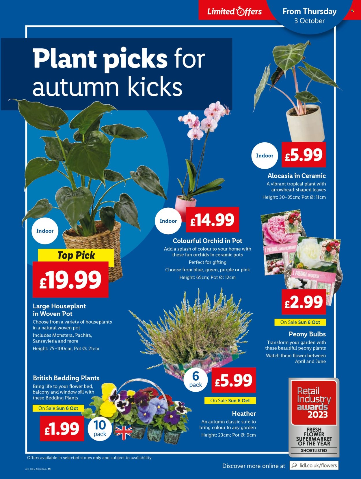 Lidl offer - 26/09/2024 - 26/09/2024. Page 21