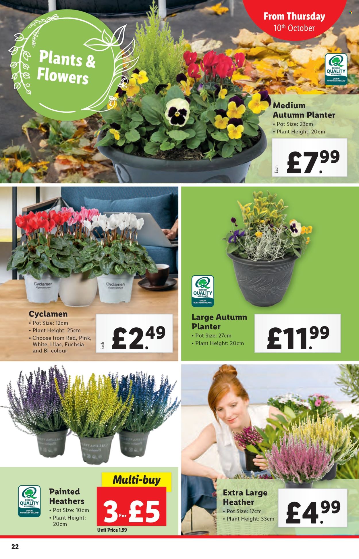 Lidl offer - 10/10/2024 - 16/10/2024. Page 23