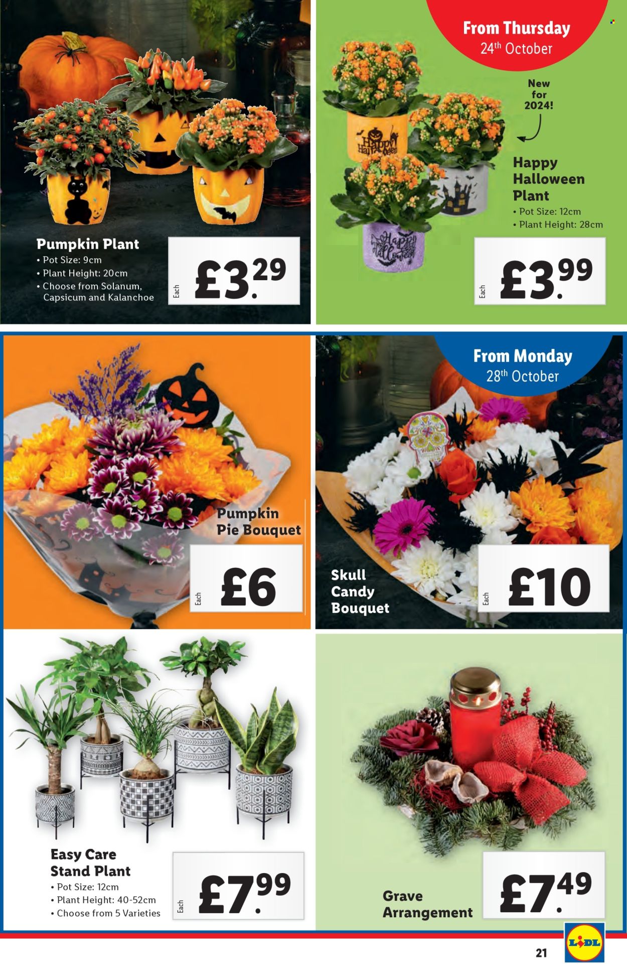 Lidl offer - 24/10/2024 - 30/10/2024. Page 22