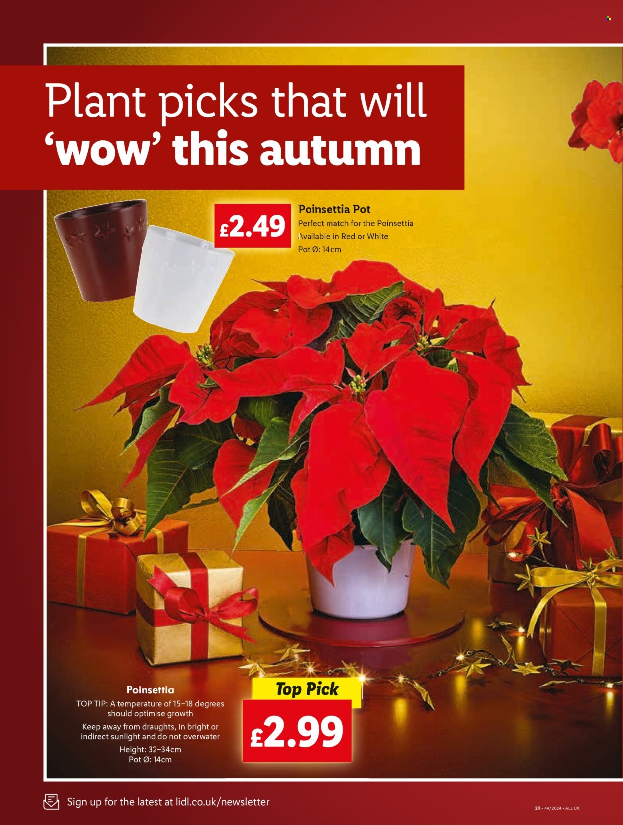Lidl offer - 31/10/2024 - 06/11/2024. Page 20