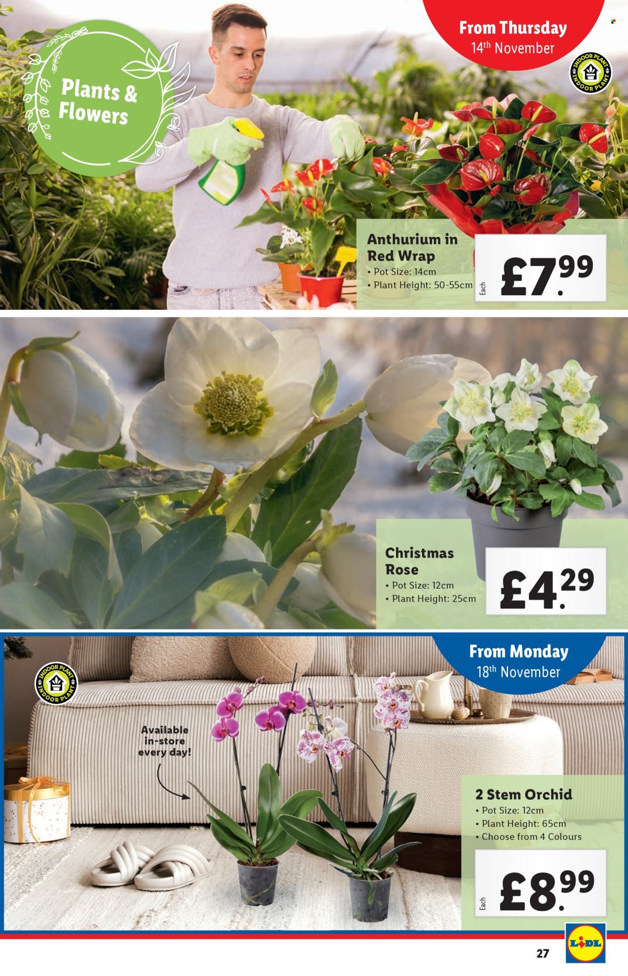 Lidl offer - 14/11/2024 - 20/11/2024. Page 27