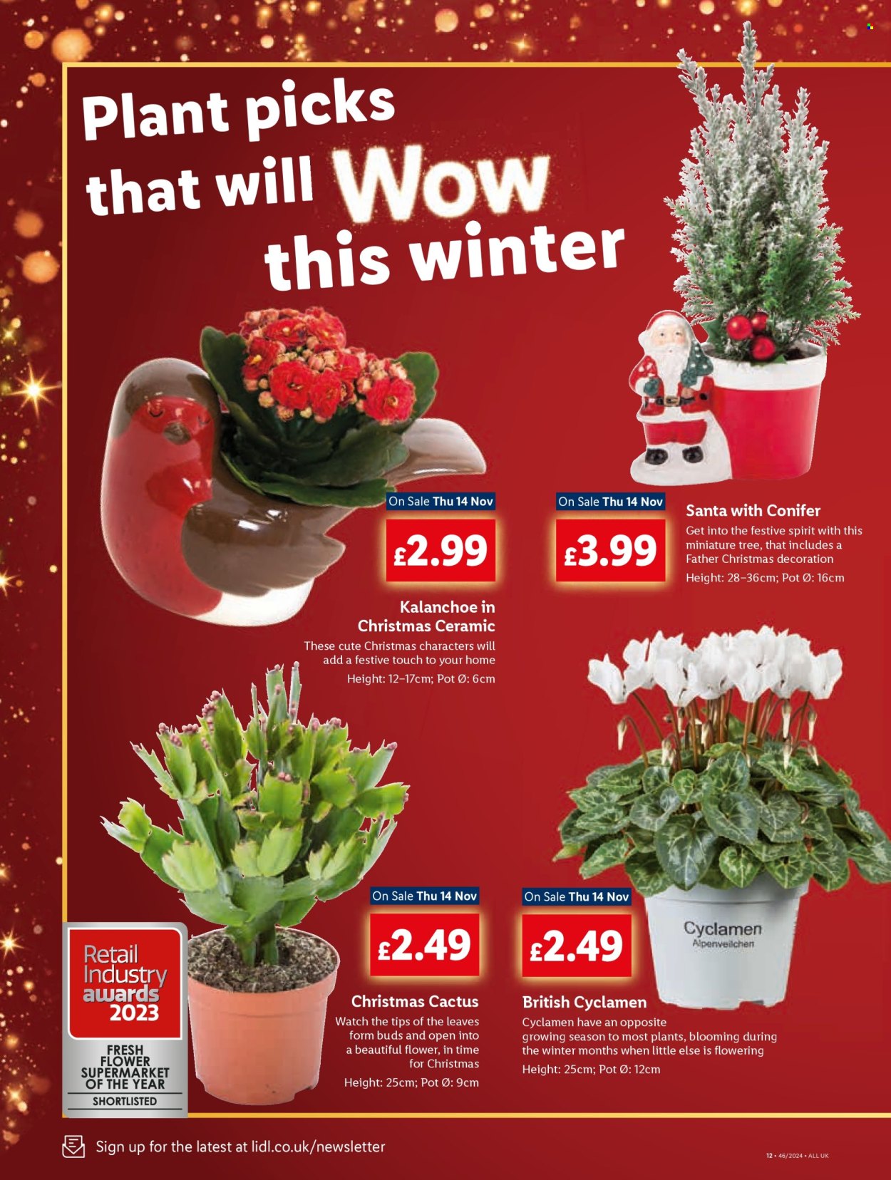Lidl offer - 14/11/2024 - 20/11/2024. Page 12