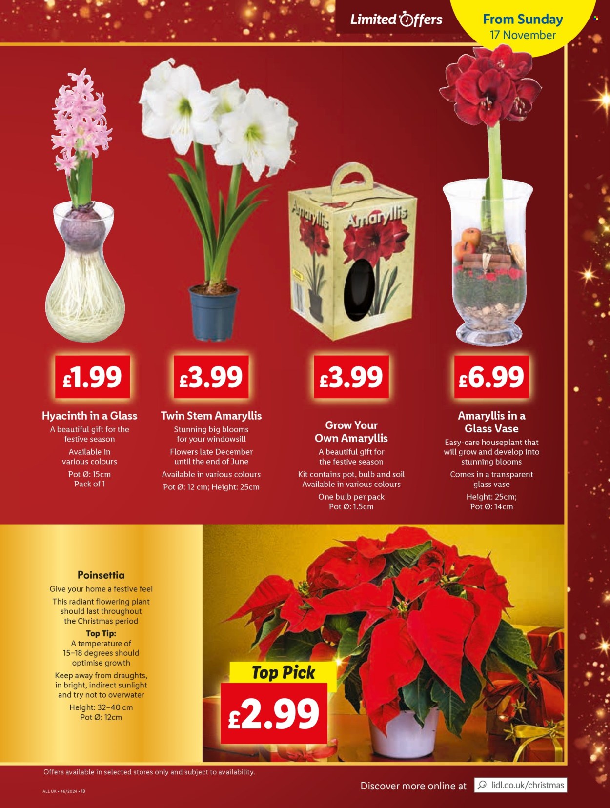 Lidl offer - 14/11/2024 - 20/11/2024. Page 13