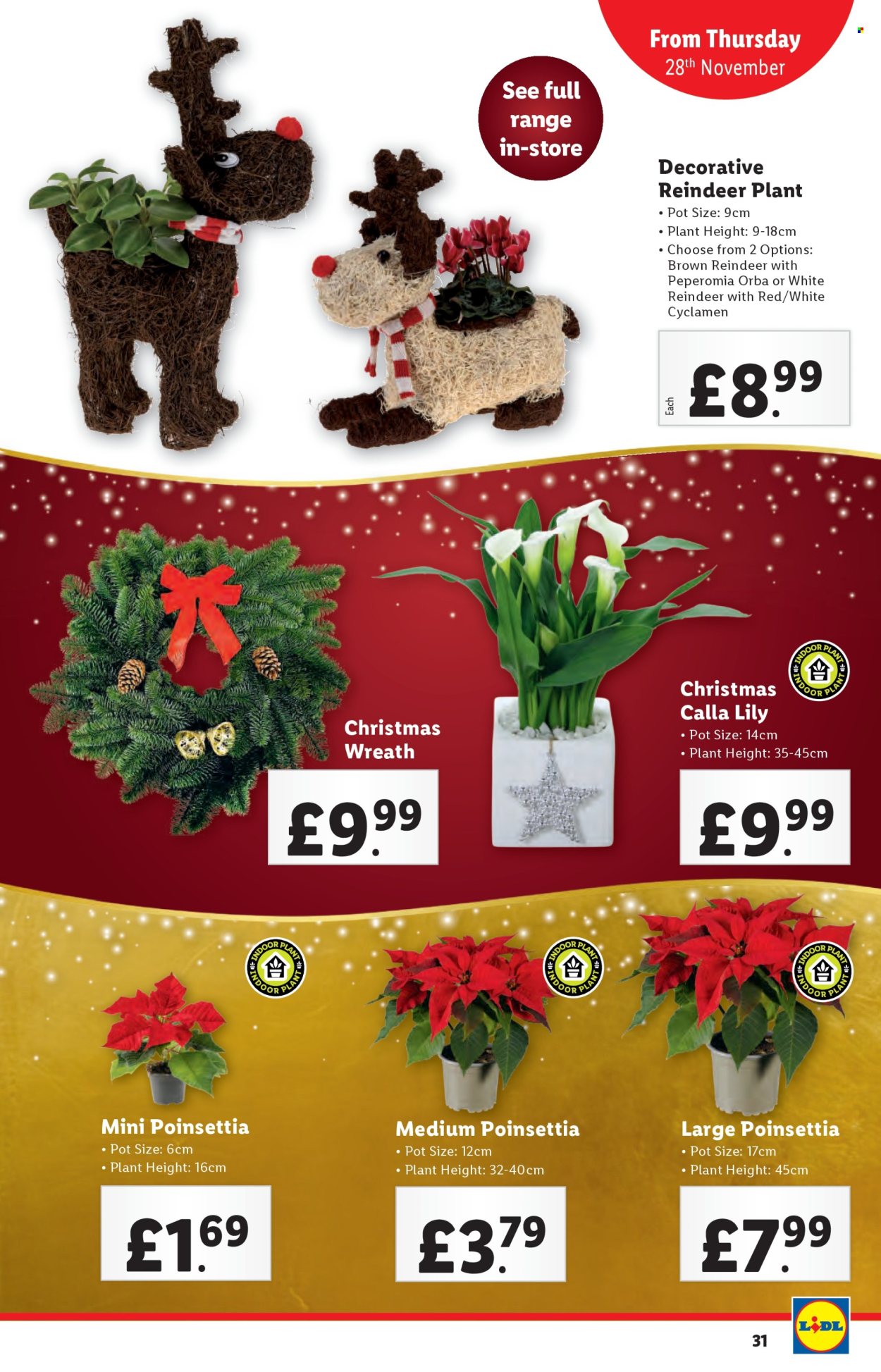 Lidl offer - 28/11/2024 - 04/12/2024. Page 31