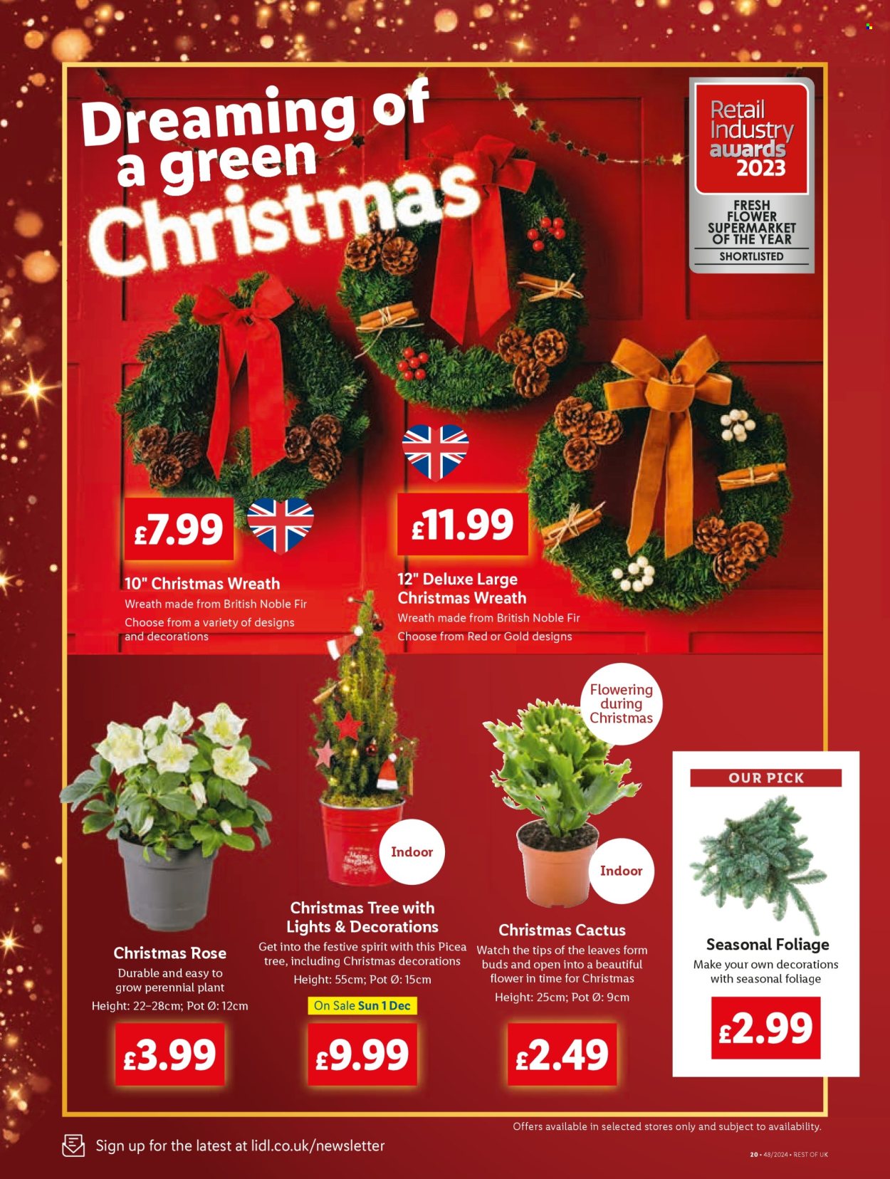 Lidl offer - 28/11/2024 - 04/12/2024. Page 20