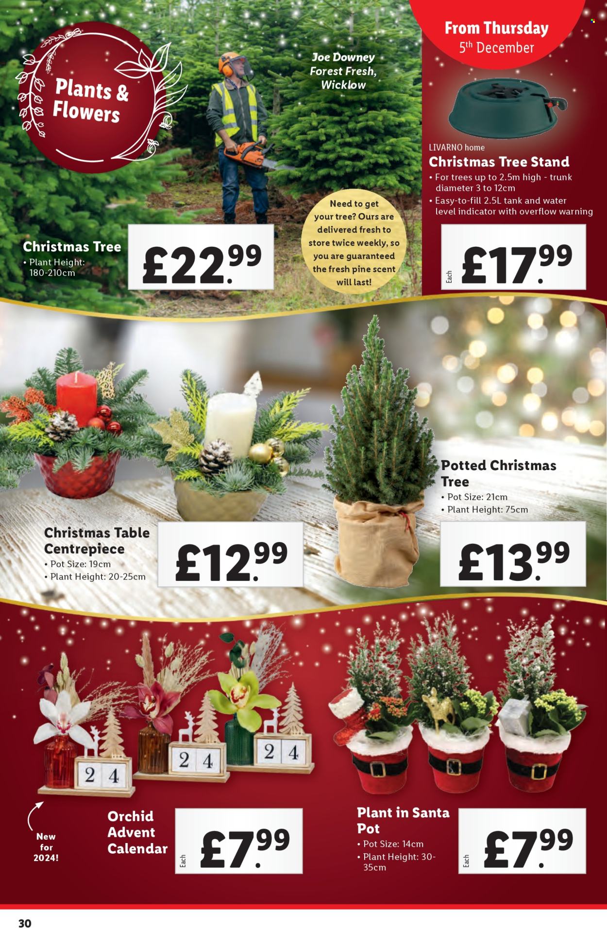 Lidl offer - 05/12/2024 - 11/12/2024. Page 30